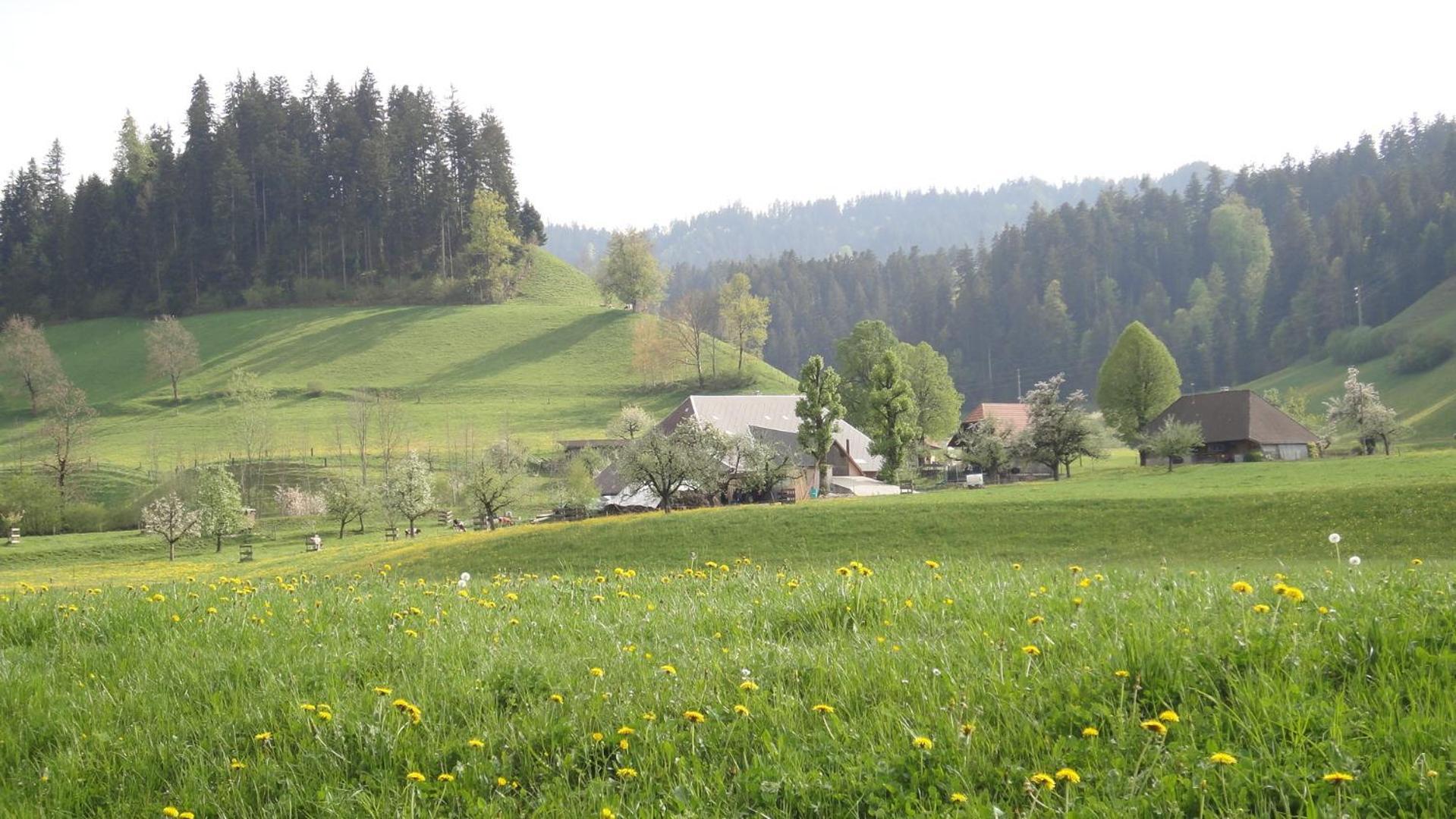 Landgasthof-Hotel Adler Лангнау Экстерьер фото